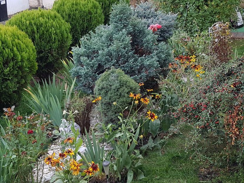 Va vine sa credeti ca aici am facut curatenie? Nu prea se vede dar nu stiti cum era inainte :) - Octombrie 2019