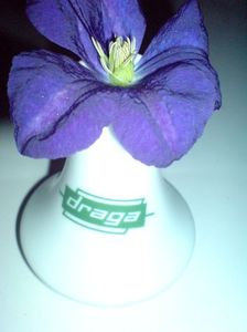 104296842 (3) - MUKY_ ceva special