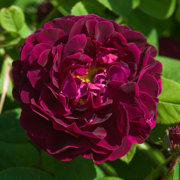 Tuscany_Superb_3_2 - TUSKANY SUPERB