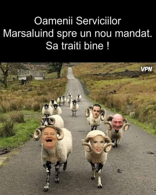  - Poze haioase pamflet