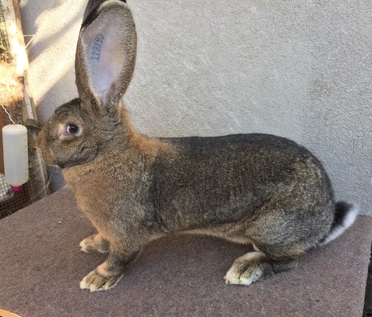 398CDA10-F82A-4A8C-B3DE-A3D47135C38E - RO 8-128193