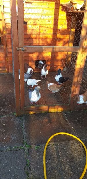 15.10.2019 - Strasser 2019-2023