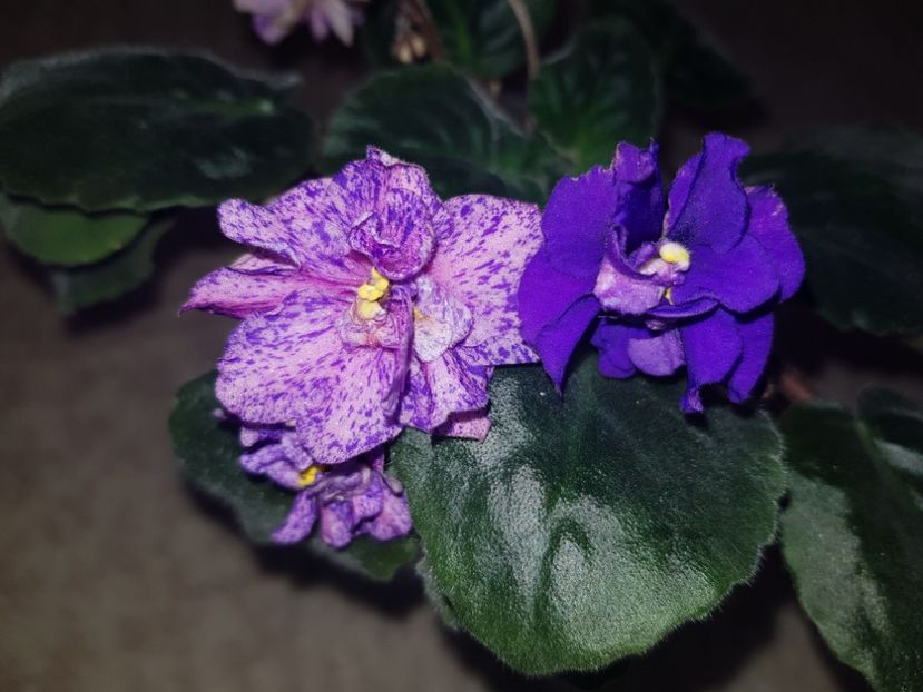 21.04.2019 - Cathedral