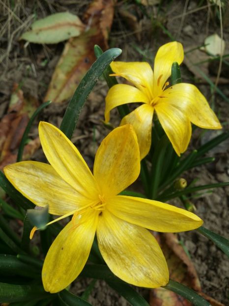  - curtea cu toate cele 2019