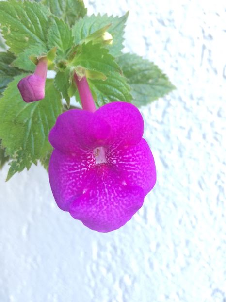 16.10.2019 - Jennifer Goode