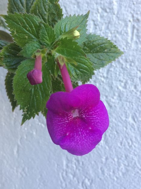 16.10.2019 - Jennifer Goode