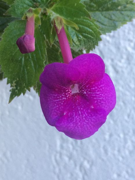 16.10.2019 - Jennifer Goode