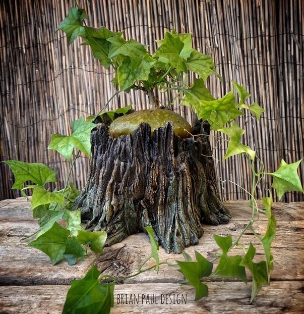 Gerrardanthus macrorhizus - Vase - aranjamente - accesorii