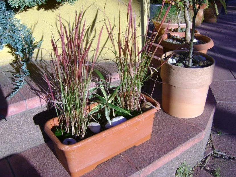 Forme si culori in octombrie - Toamna 2018-2019