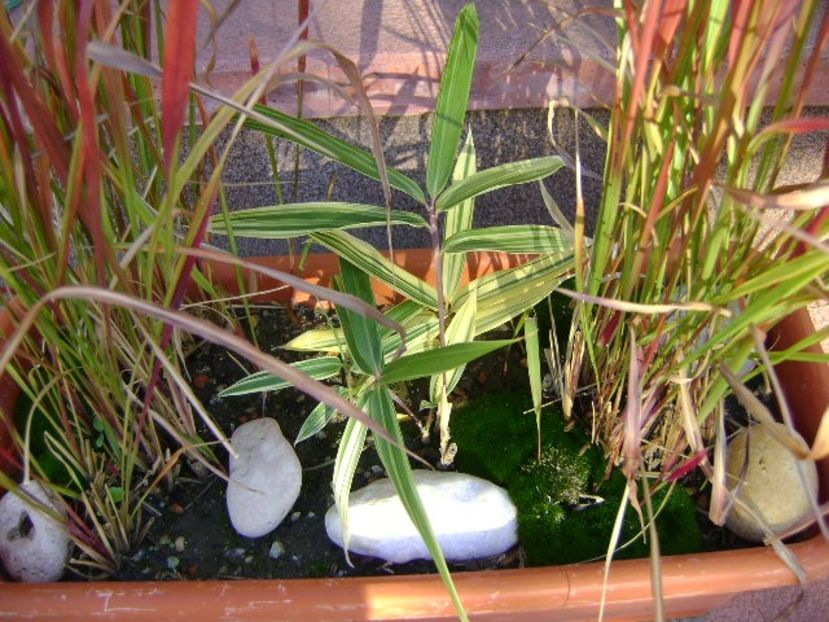 Forme si culori in octombrie - Toamna 2018-2019