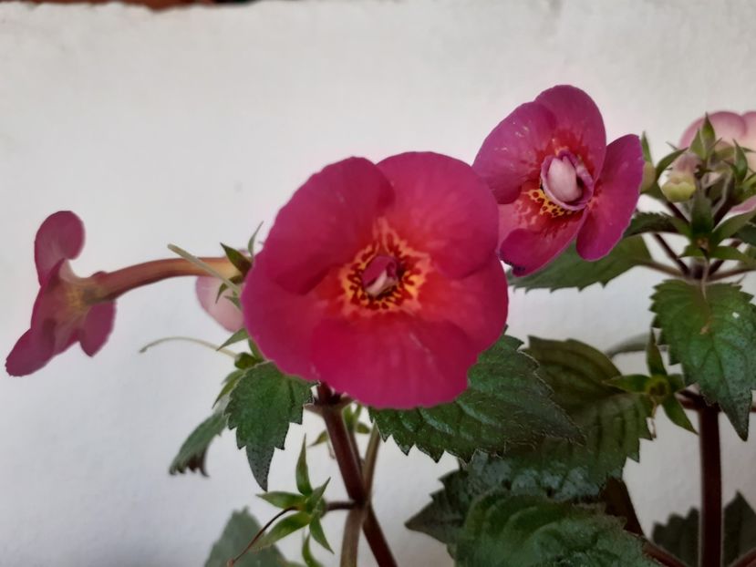  - Hard To Get-pierdut