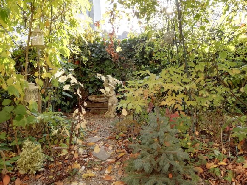  - Grădina 2019 sfârșit de sezon