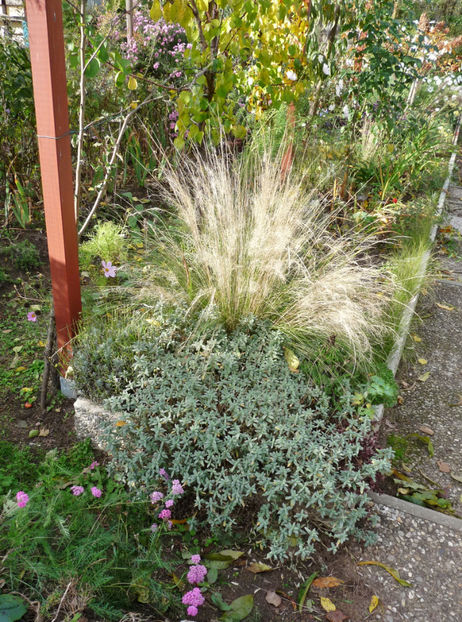  - 2019 - 03 - Toamna