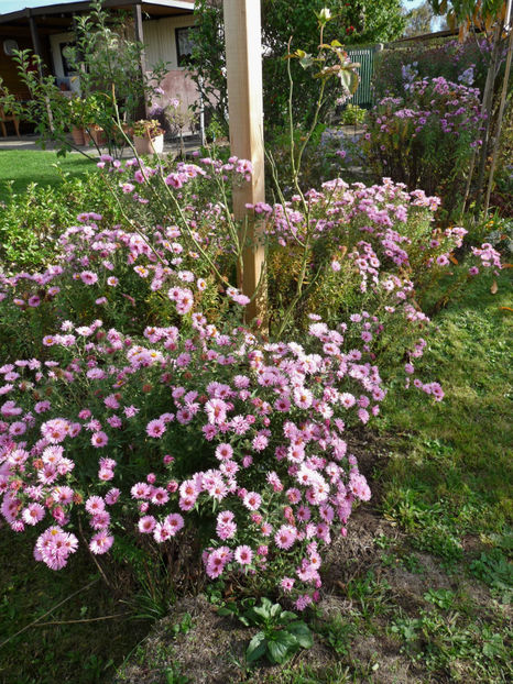  - 2019 - 03 - Toamna