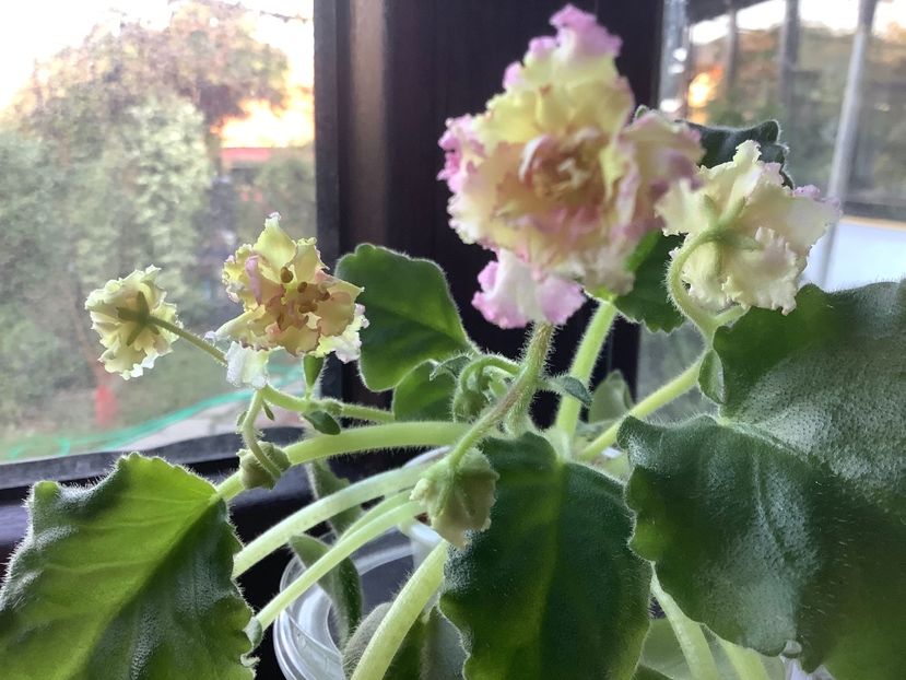  - Ajohn s Winter Sun