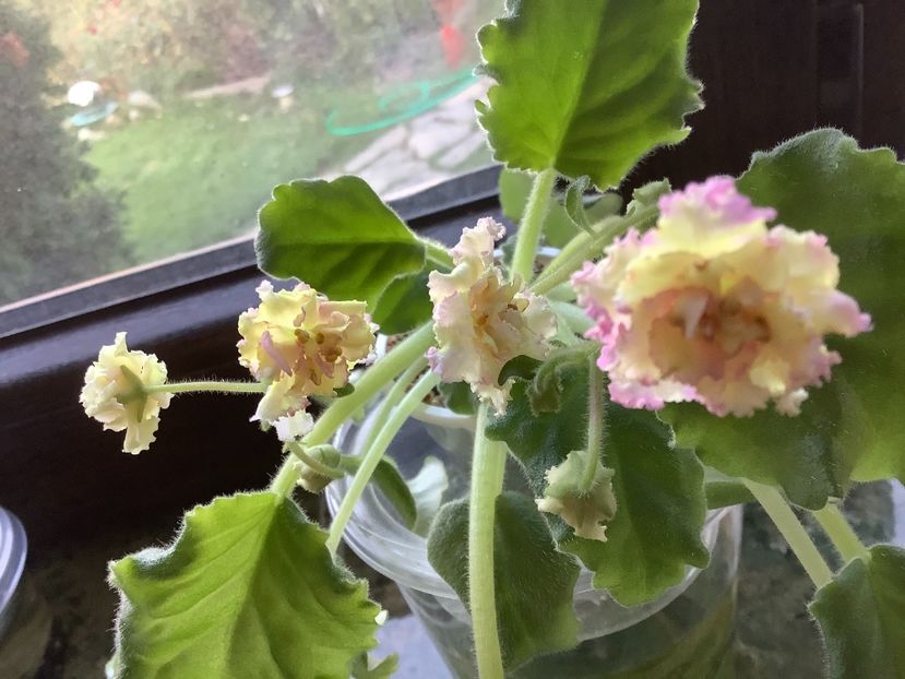  - Ajohn s Winter Sun