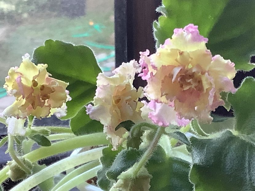  - Ajohn s Winter Sun