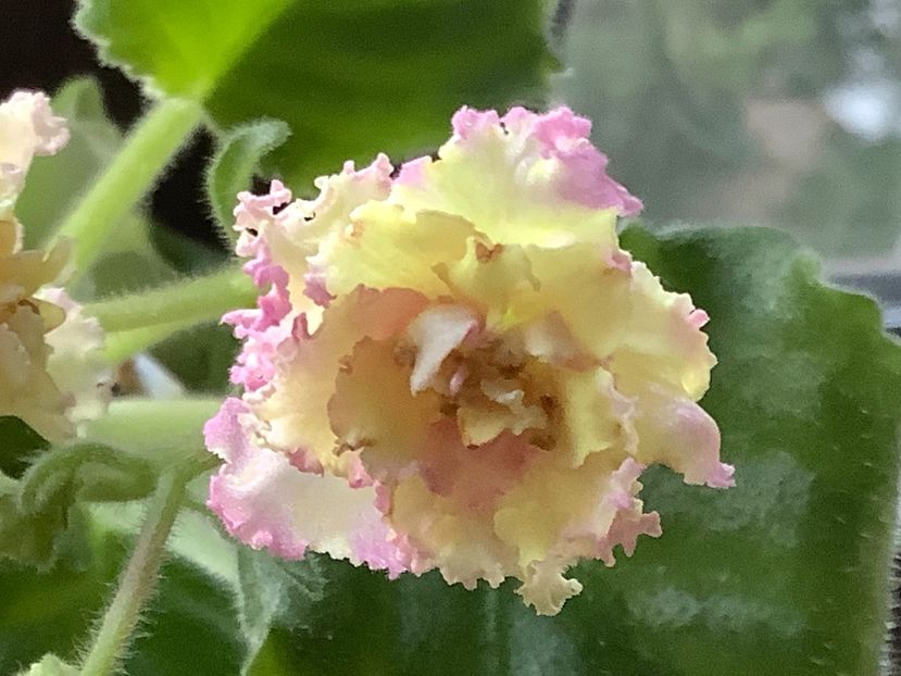  - Ajohn s Winter Sun