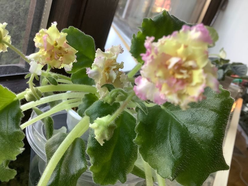  - Ajohn s Winter Sun