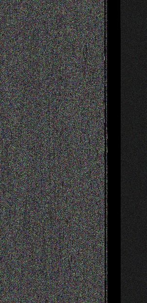  - Caunculati si berberi 2019