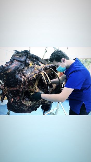 4D327408-C14B-4ED4-B223-60E200418504 - Contact