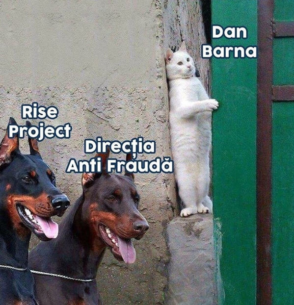  - Poze haioase pamflet