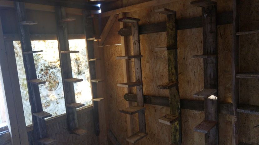 20190727_190109_HDR - Voliera veche