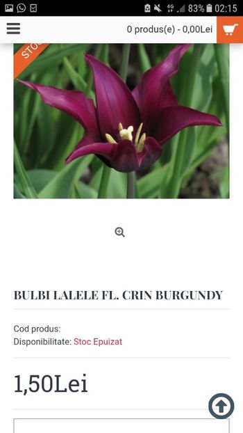 Screenshot_20191019-021532 - Achizitii toamna 2019