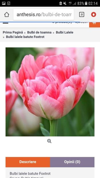 Screenshot_20191019-021441 - Achizitii toamna 2019