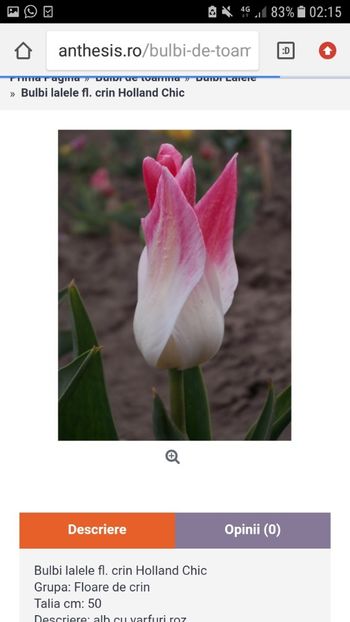 Screenshot_20191019-021553 - Achizitii toamna 2019