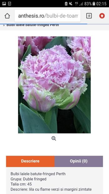 Screenshot_20191019-021505 - Achizitii toamna 2019