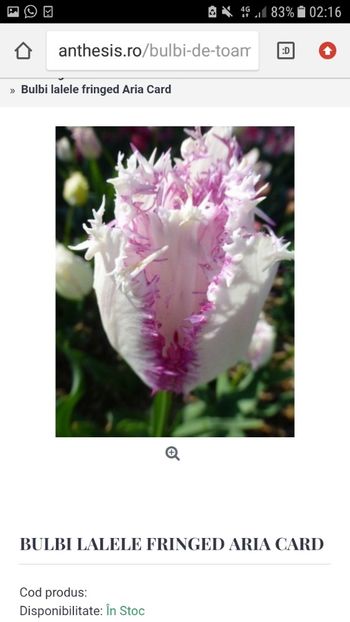 Screenshot_20191019-021620 - Achizitii toamna 2019