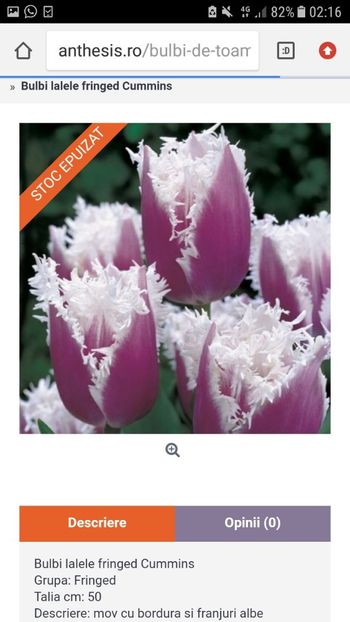 Screenshot_20191019-021637 - Achizitii toamna 2019