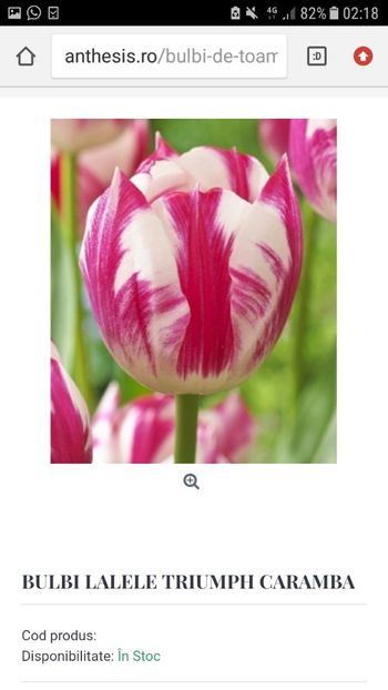 Screenshot_20191019-021826 - Achizitii toamna 2019