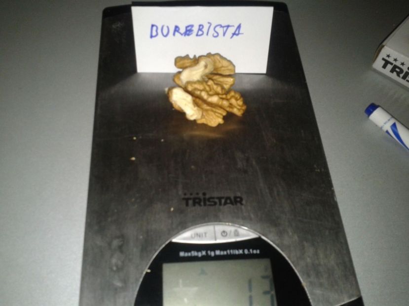 1941573_947702225306472_6118898662837577348_o - Nuci Gigant