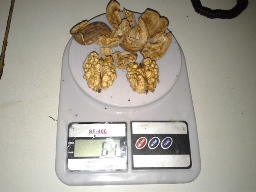 11034445_907145532695475_4930552281229602498_o - Nuci Gigant