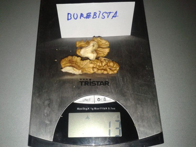 11251164_947702275306467_6671959964487749942_o - Nuci Gigant