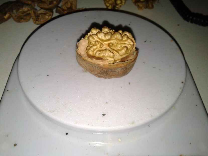 12027108_907145519362143_6965134944047923243_o - Nuci Gigant