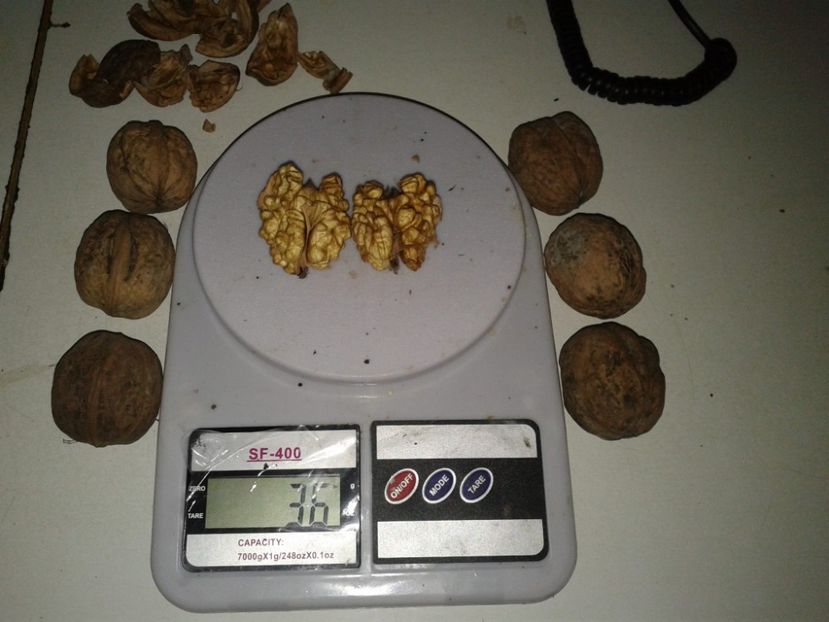 12038606_907145582695470_998833673841146336_o - Nuci Gigant