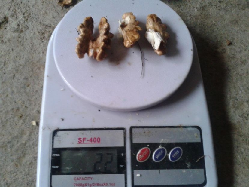 12045625_898320783577950_3622278967094481862_o - Nuci Gigant