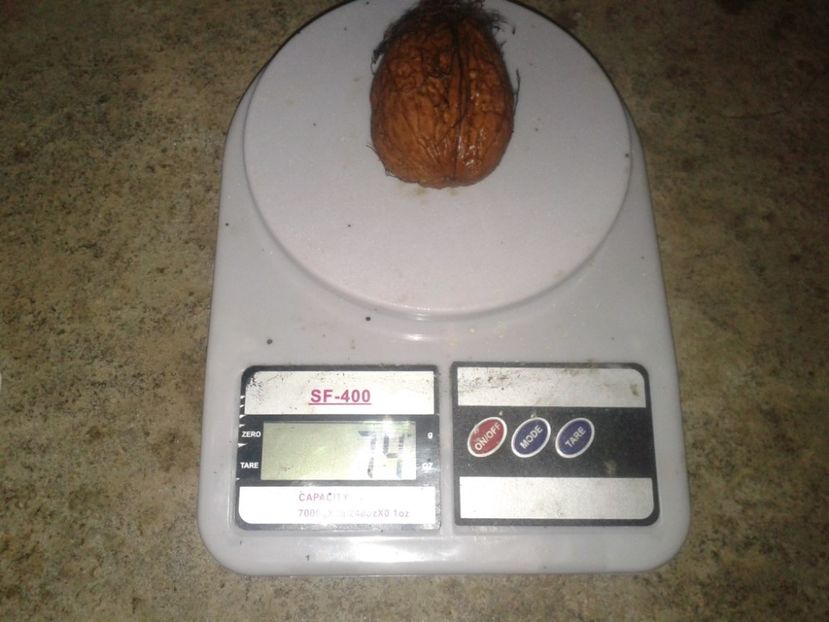 12068435_898283040248391_5557587096412128690_o - Nuci Gigant