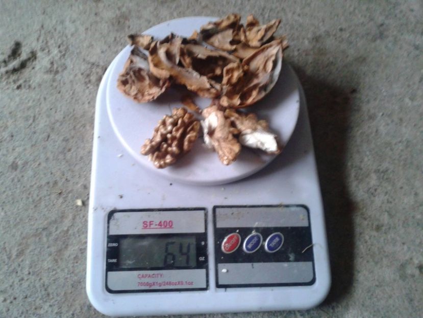 12080204_898320786911283_3125592141635769633_o - Nuci Gigant