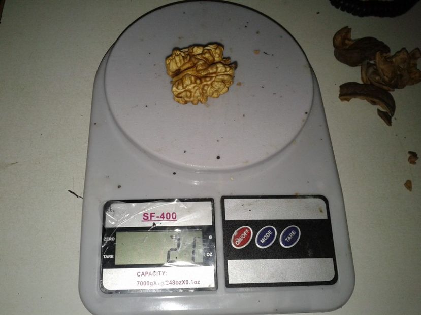 12141035_907145619362133_1403357453407419847_o - Nuci Gigant