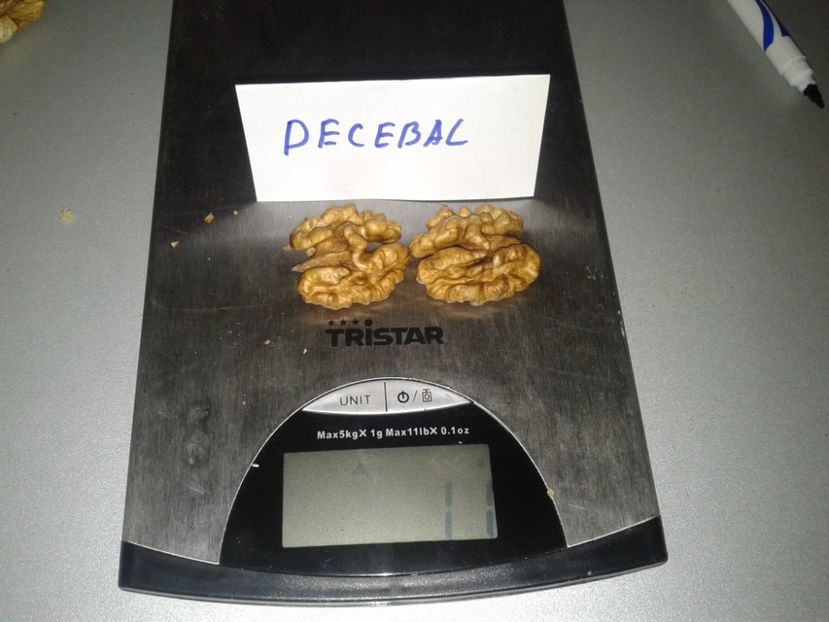 12486018_947702271973134_7270541029942142040_o - Nuci Gigant