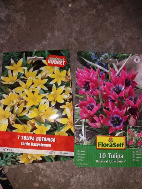  - Achizitii toamna 2019