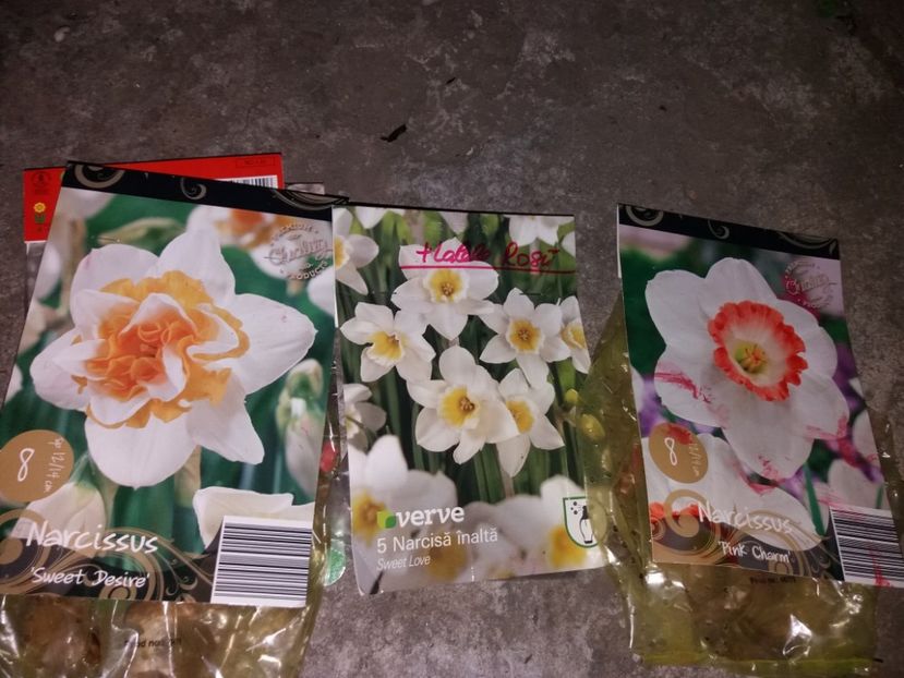  - Achizitii toamna 2019