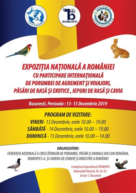 Afișul expoziției. - Z 17 - Expozitia Nationala a Romaniei 2019