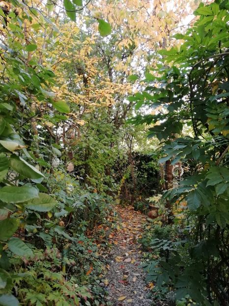  - Grădina 2019 sfârșit de sezon