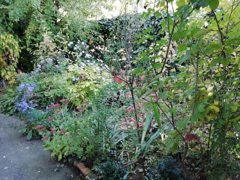  - Grădina 2019 sfârșit de sezon