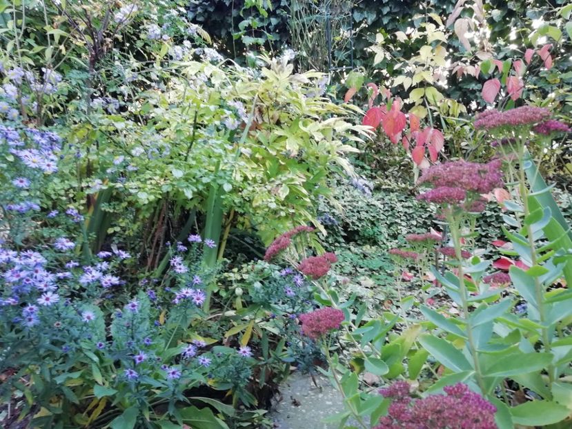  - Grădina 2019 sfârșit de sezon